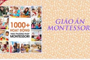 [Góc tài liệu] – Bộ giáo án Montessori cho trường mầm non